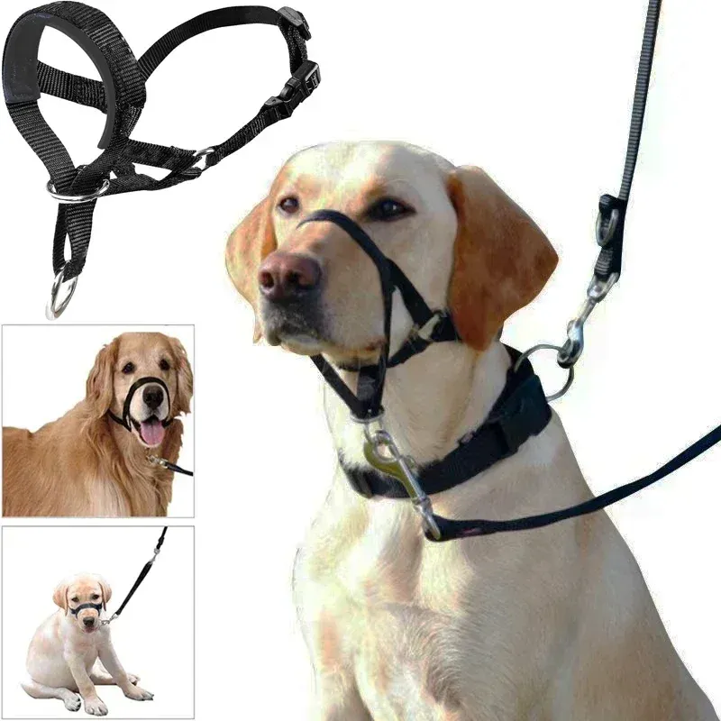 Muzzles Halter Antibite Dog Leader Head Training Collar Classic Munsel Harness Antibarking Justerbar koppel