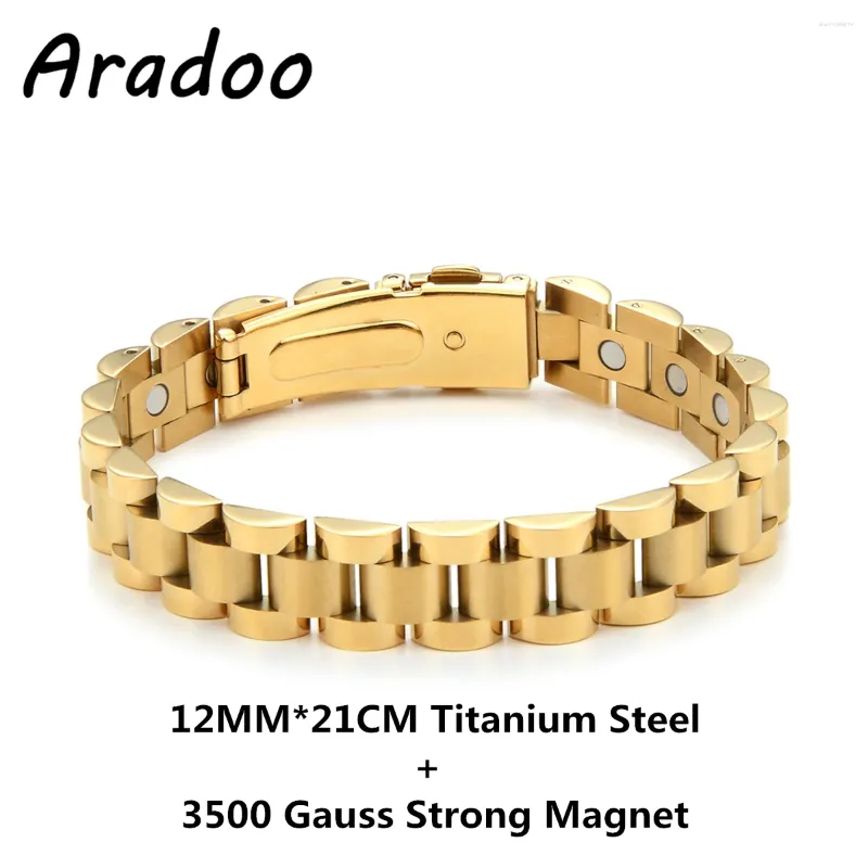 Link Bracelets Titanium Steel Magnetic Energy Bracelet 12MM Hematite Germanium Anti-fatigue Anti-radiation Stainless Strap