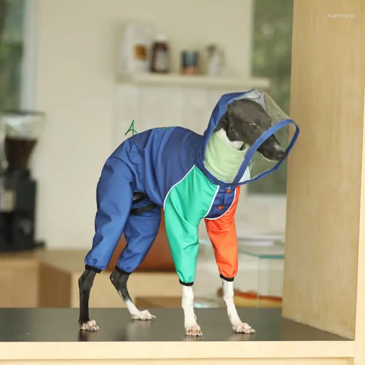 Köpek Giyim Dikiş Renkli Pet Yağmur Birliği Küçük Schnauzer Whybit Greyhound Giysileri Köpek Köpekler Aksesuarlar Ropa Perro
