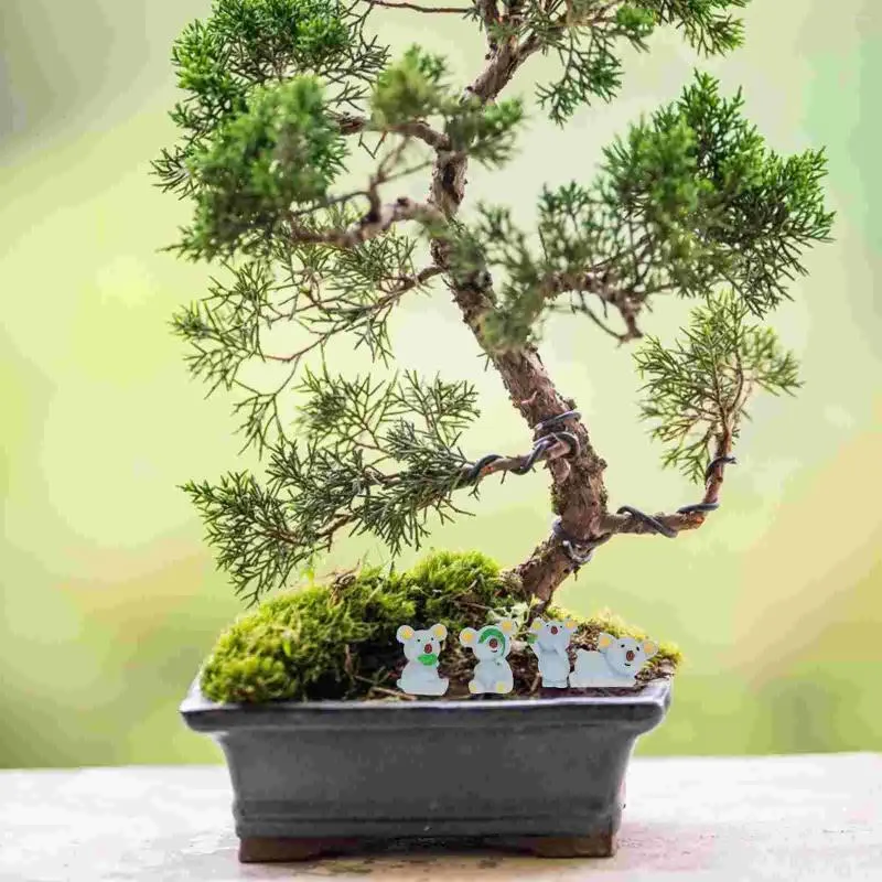 Decorazioni da giardino 6 pezzi Decor Micro paesaggio miniatura in resina figura cartone animato vaso di piante grasse piccola statuetta