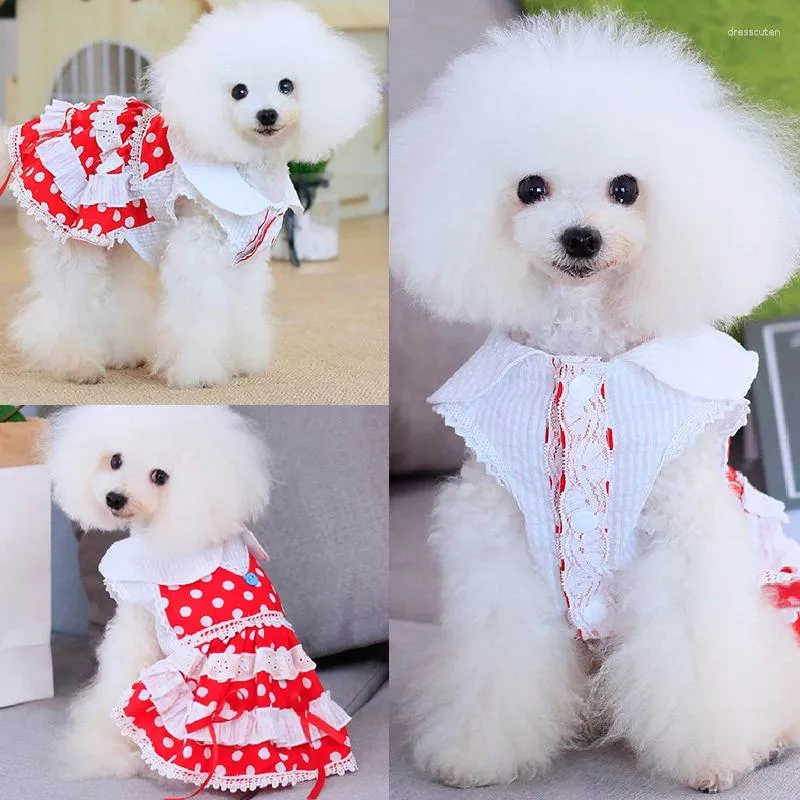 Vêtements de chien Mignon Dots Robe Été Pet Jupe Fille Vêtements Princesse Costumes Yorkshire Poméranie Caniche Bichon Schnauzer Robes XL