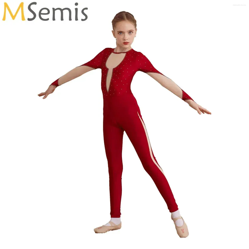 Stage Wear Kids Girls Leotard Gymnastics Unitard Ballet Dance Costume Long Sleeve Mesh Patchwork Jumpsuit Skating Gym Performance Dancewear