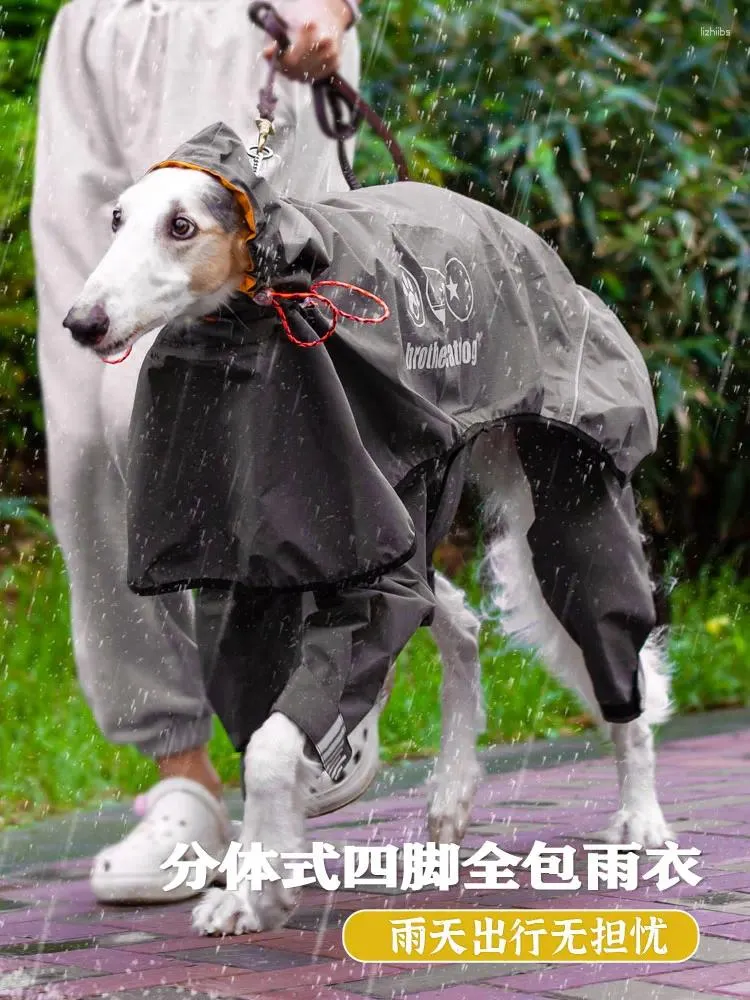 Abbigliamento per cani Impermeabile estivo Abito impermeabile a quattro zampe Whybit Greyhound Clothes Costume medio e grande
