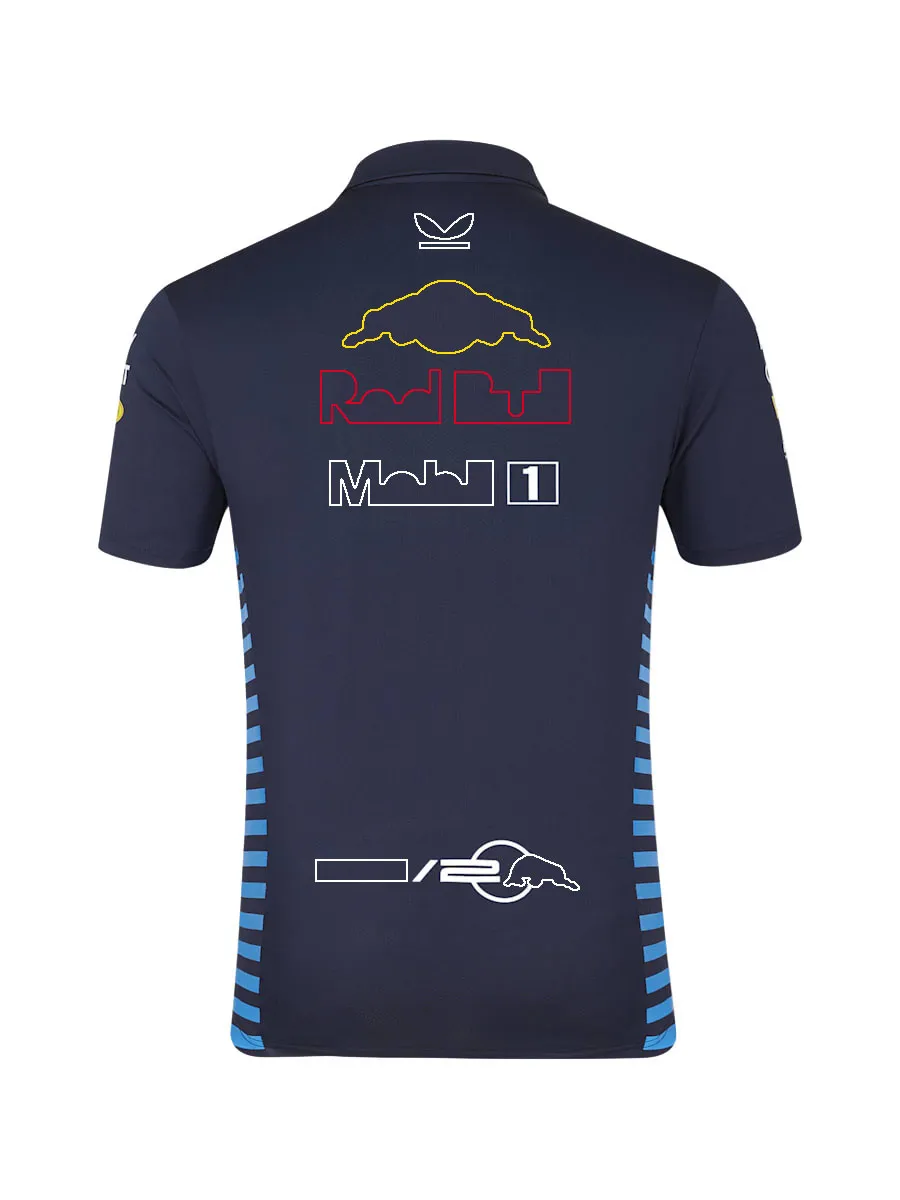 2024 F1 Racing Team T-shirt Formula 1 Driver Polo Shirts T-shirt Men's Racing Clothing Tops New Season Motorsport Fans T-Shirt Jersey