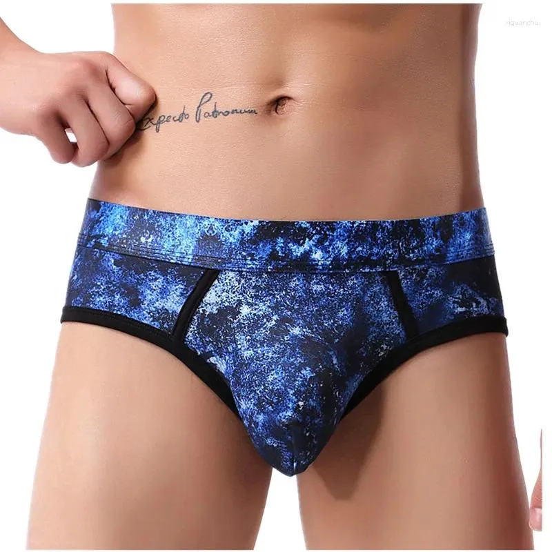 Underpants Sexy Gay Underwear Men Hollow Back Briefs Shorts Man Print Panties Low Waist Pouch Cueca Calzoncillo Plus Size M-XXL
