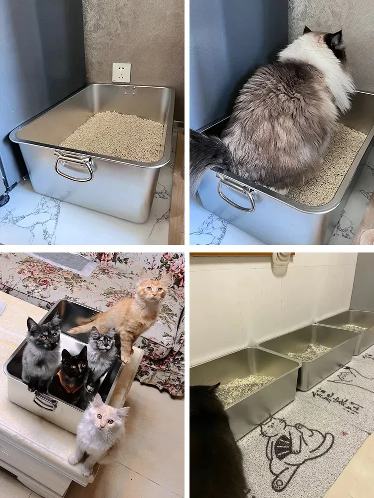 Scatole per lettiera in acciaio inox Super Big Cat Toilette King Size Giant Sand Kitten Special Antisplash Enorme