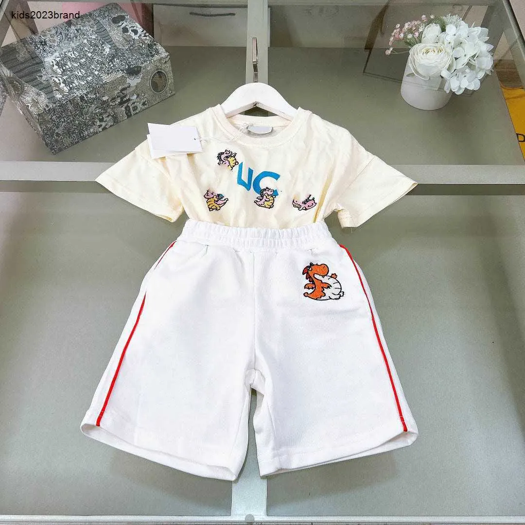 Neues Baby-T-Shirt-Set, bestickte Dinosaurier-Muster, Kinder-Trainingsanzüge, Größe 90–160 cm, Sommer, kurze Ärmel und Shorts, 24. Februar 2020