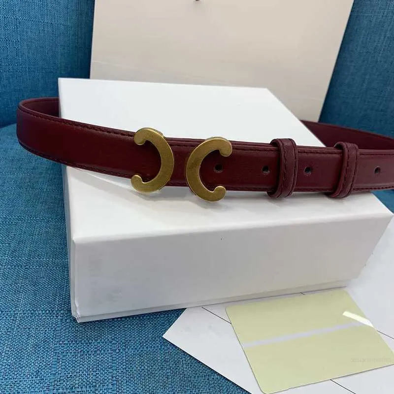 Designer designers belt Women letter Solid color belts for Classic Luxurys belt Vintage wear Pin needle Buckle Beltss 4colors Width 25 cm size 95115 Casual fashion ca