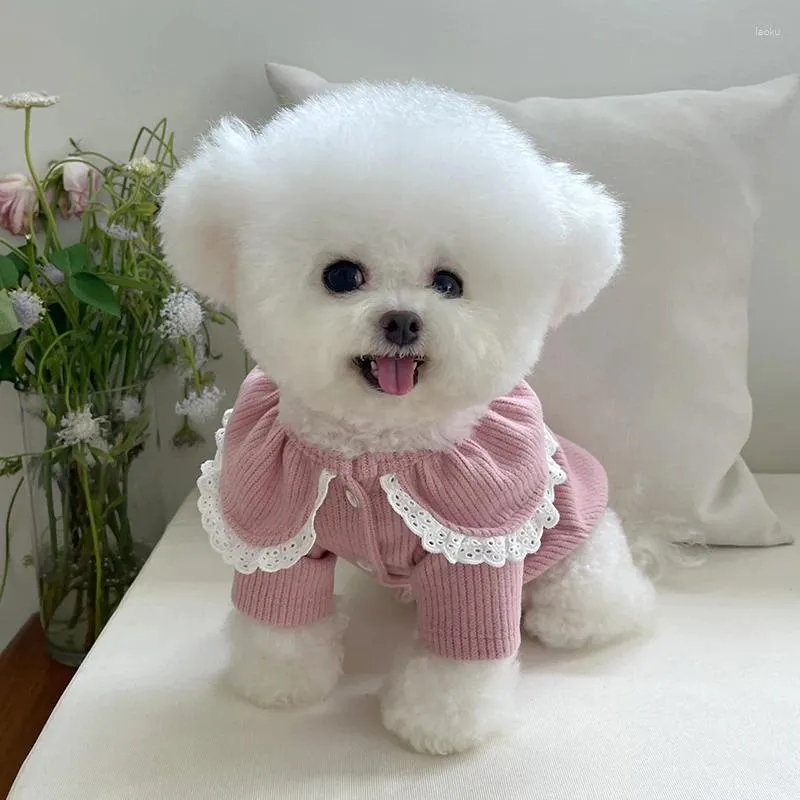 Dog Apparel Puppy Knit Sweater Pet Cat Spring Sweaters Knitted Coat Small Dogs Kitten Cats Soft Clothes Chihuahua Clothing XXS