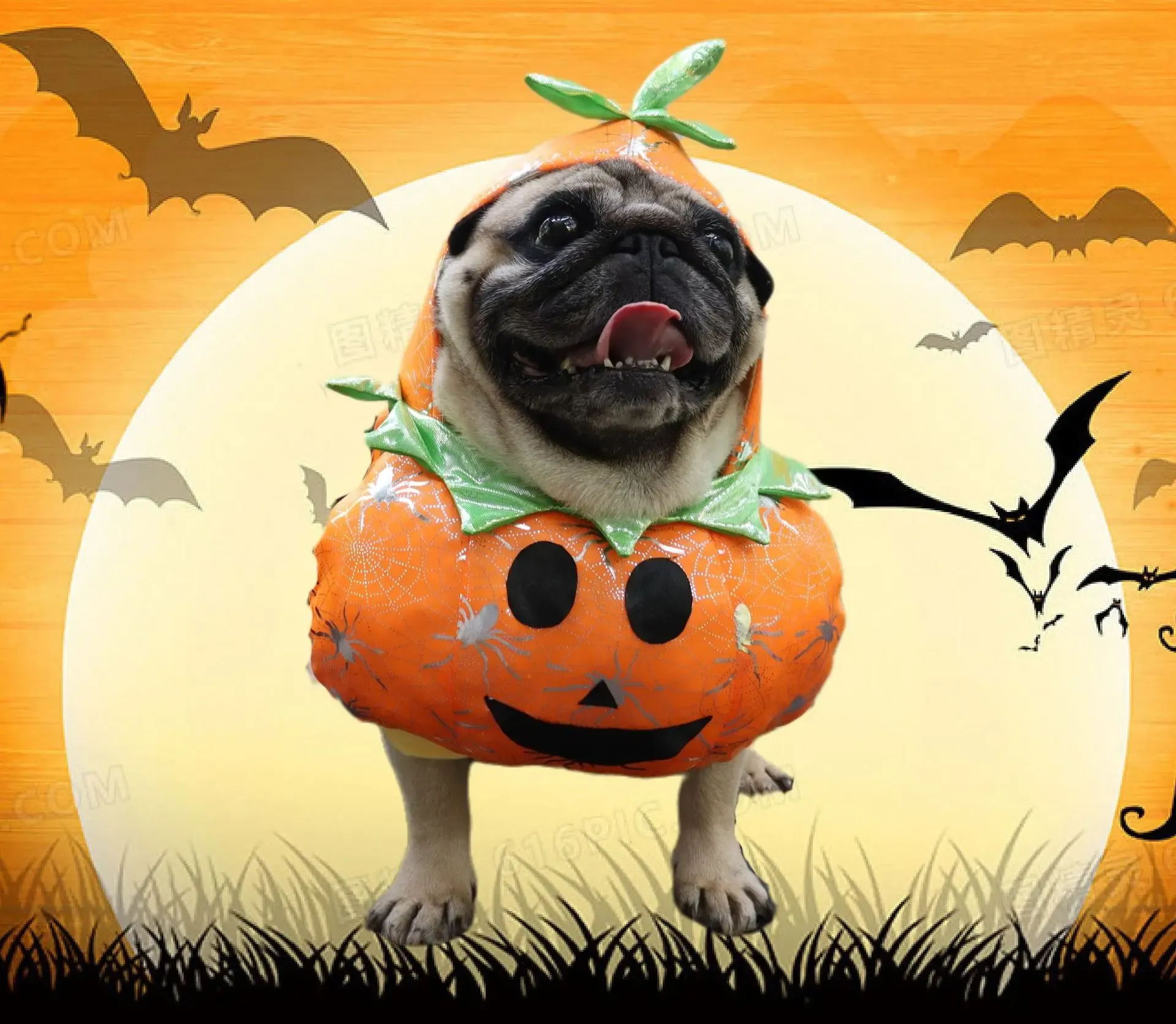 Hoodies Halloween Pumpkin Pet Costume Novel Dog Cat Clothes Holiday Party Funny Hoodie Cosplay Puppy Dress Christmas Bulldog Pug Poodle