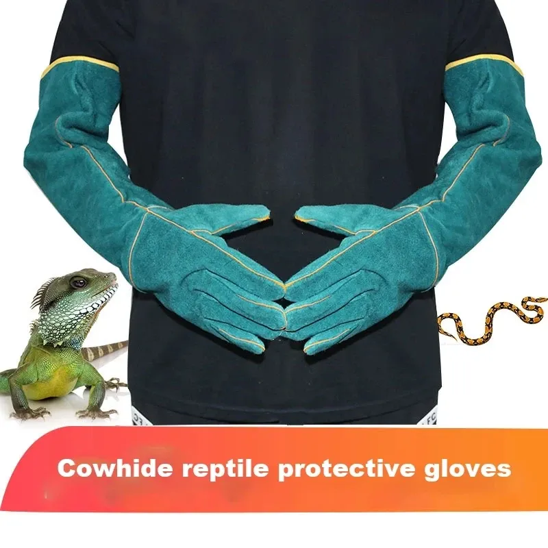 Gants de sécurité de nettoyage pour attraper des chiens, des chats, des reptiles, des animaux, en cuir ultra long, vert, pour animaux de compagnie, protection contre l'iguane vert, gants anti-préhension