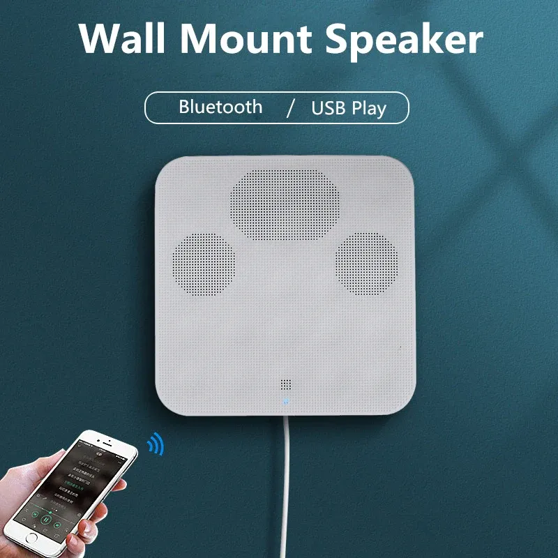 Speakers Wall Mount Speaker Bluetooth Connection Usb Player in Wall Abs Cabinet for Public Address in Restaurant Small Store