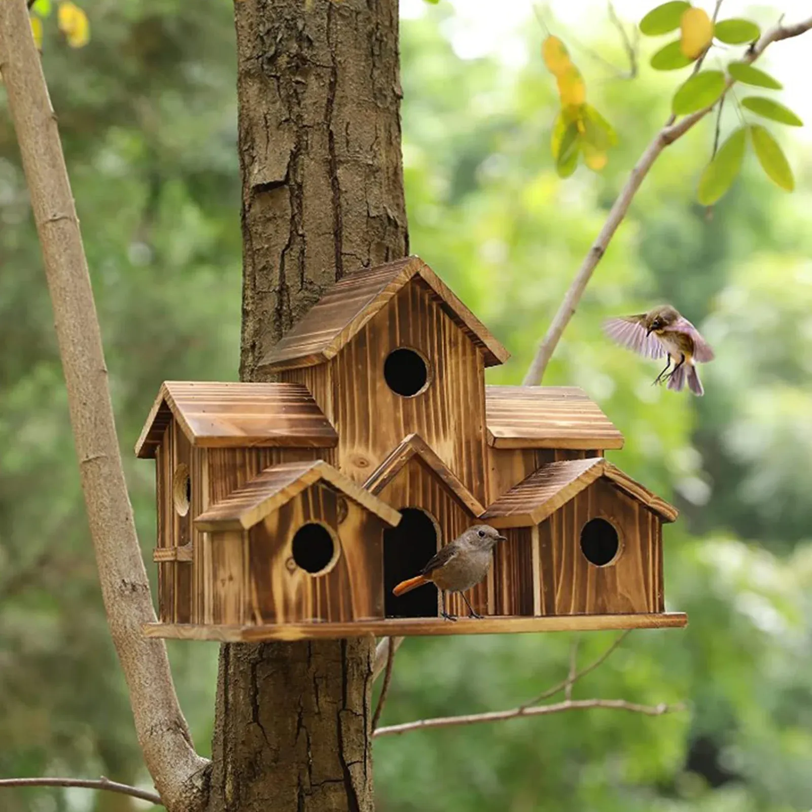 Bo Garden Bird House trä fågelhus för utanför hängning, fågelhus för yttre avstånd, 6 håls handgjorda fågelhus