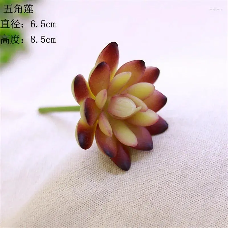 Dekorativa blommor Simulerad saftig växt Puxilia Moon Ornamental Bonsai Color Artificial Potted