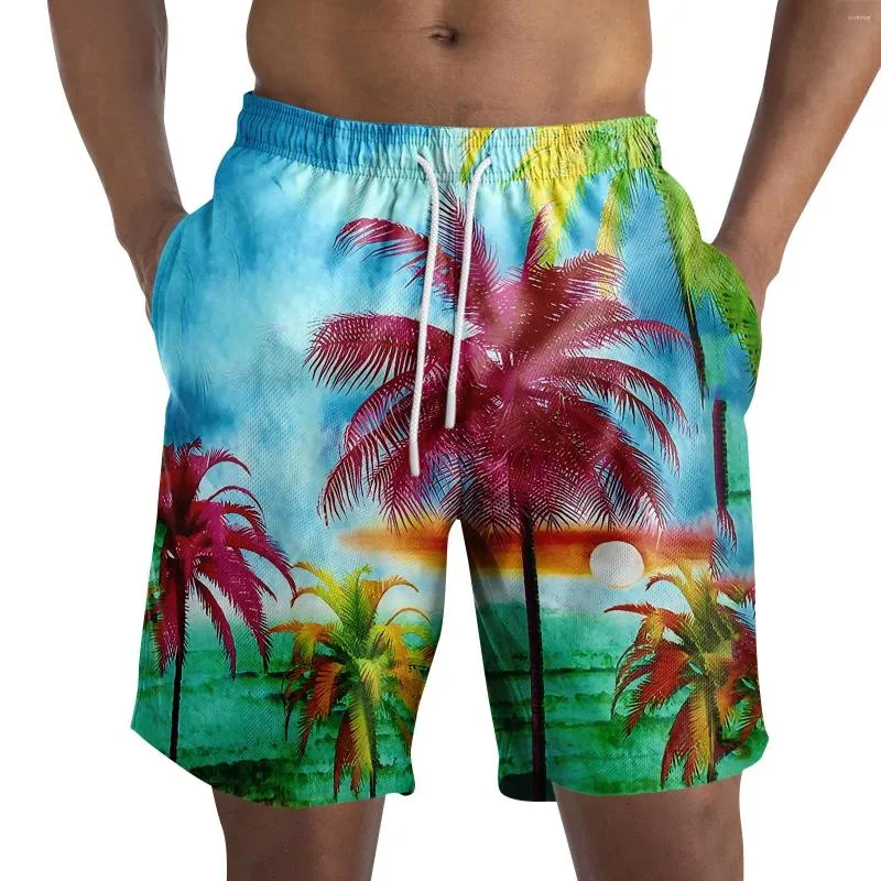Shorts pour hommes Tropics Y2K Pantalons de plage Hommes 3D Imprimé Surf Board Summer Hawaii Maillot de bain Maillot de bain Cool