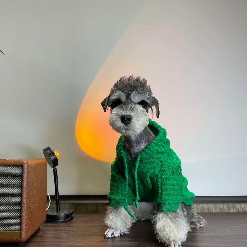 Hoodies verde com capuz roupas para cães filhote de cachorro simples moda bonito médio cães roupas outono inverno estilo coreano yorkshire kawaii produtos para animais de estimação