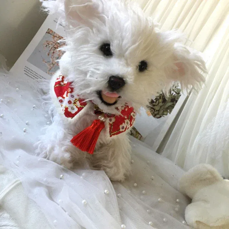 Aksesuarlar Kış Kedi Eşarp Yeni Yıl Evcil Hayvan Ürünleri Pelerin Köpek Küçük Köpek Bib Yorkshire Terrier Pomeranian Malta Kaniş Bichon Kostüm