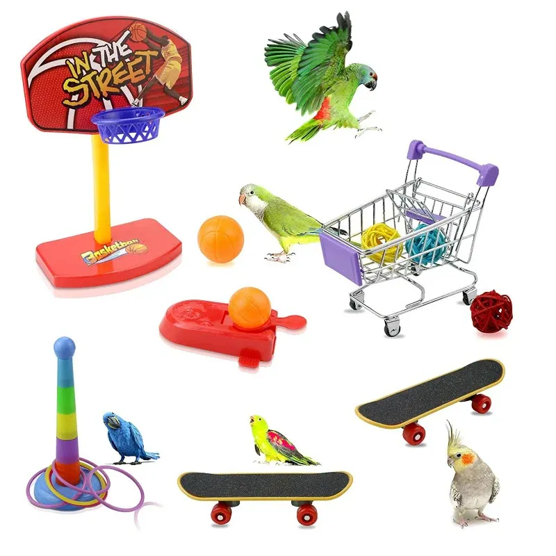 Toys Bird Training Training Speelt Basketball Stand Lovebird Shopping Cart Bird Toy Shoes Canary Skateboard Parrot Toy Accessories