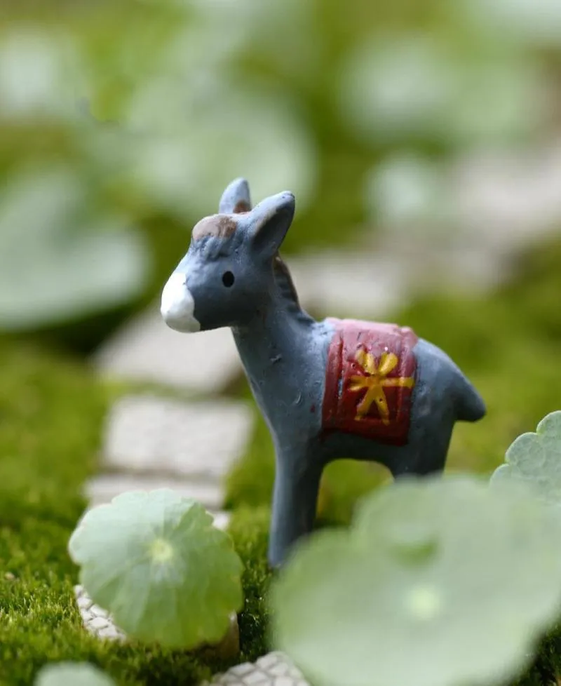 Little Donkey Mini Figurines Cactus Suwolent Lover Decor Moss Terrarium Workshop Micro Krajobraz Akcesoria Miniaturowe Fair1357333