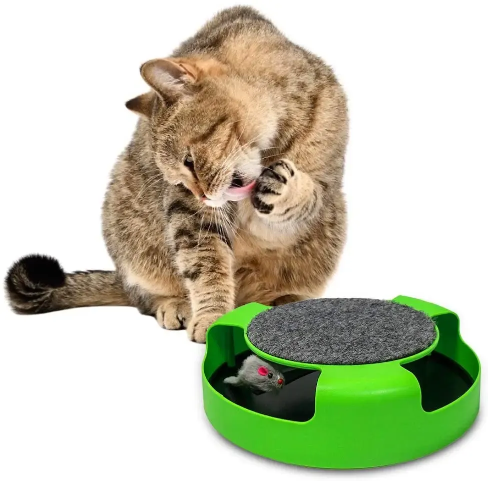 Jouets Jouet automatique pour animaux de compagnie taquiner les chats souris interactive courant le long de la piste plateau tournant jouet intelligent taquin chat bâton jeu fou jouet pour chat