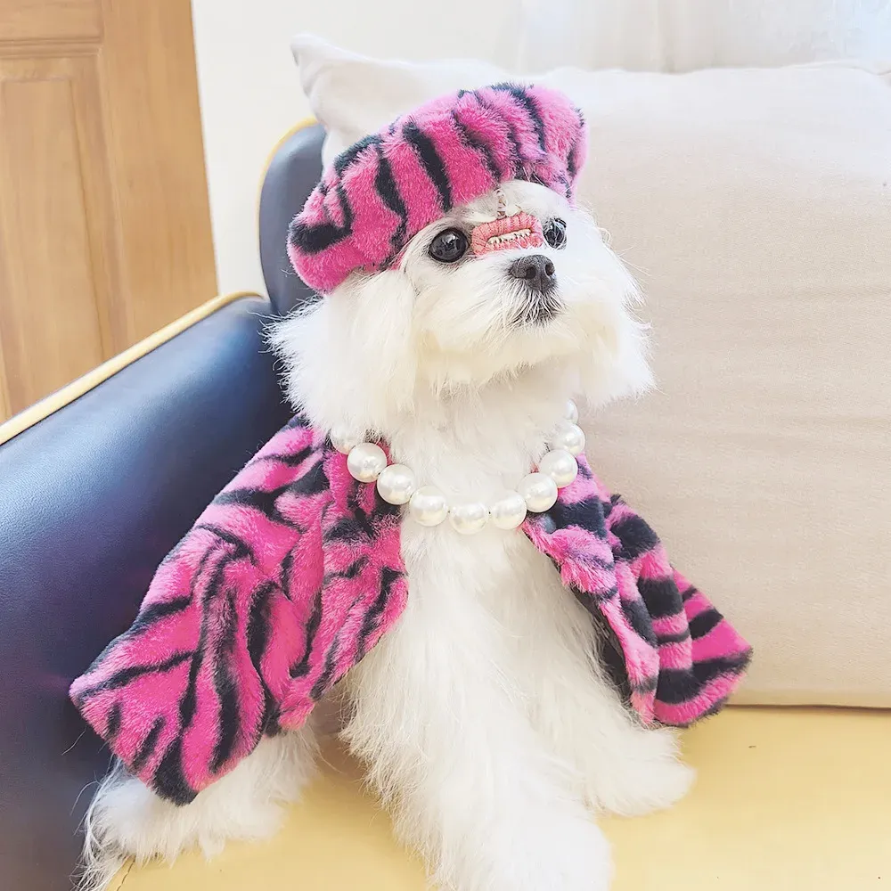 Капюшерская капюшона зимняя осень осенняя кошачья одежда Desinger Одежда PET теплый свитер.