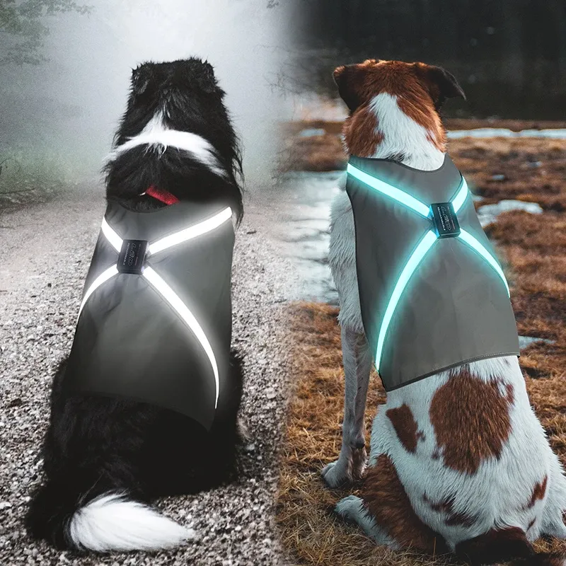 하네스 8 스피드 플랫 옵틱 색 교환 LED 애완 동물 반사 옷 USB 충전 도그 조끼 보호 의류 야외 밤