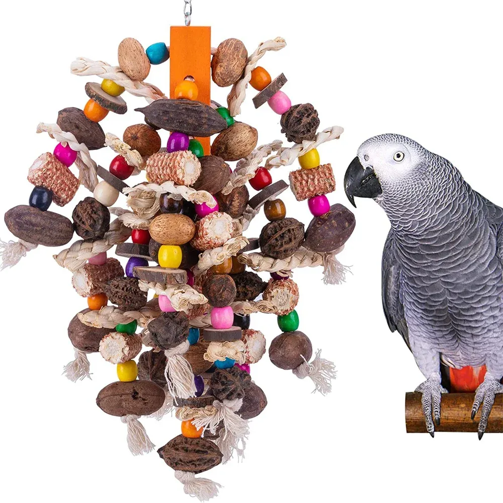Zabawki duża papuga do żucia Naturalne orzechy kukurydzy ptak łzę zabawkę drewnianą klatkę ptaków zabawkę dla kakadu afrykańskie szare ary cokatoos
