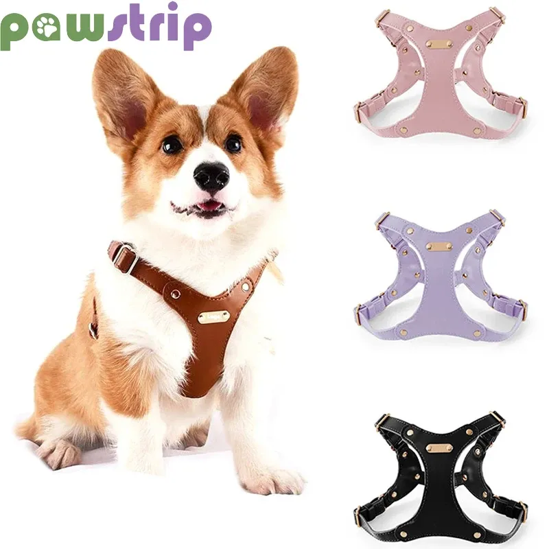 Harnais en cuir pour chien, réglable, sangle de poitrine, corde de Traction, laisse pour petits et moyens chiens, gilet de marche en plein air pour animaux de compagnie, fournitures pour animaux de compagnie