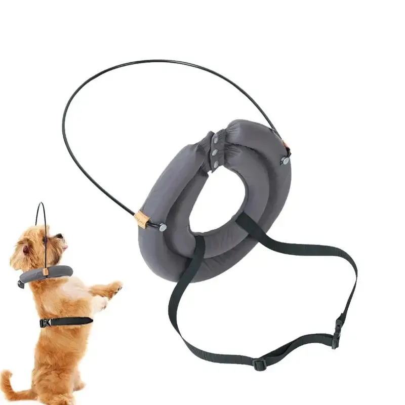 セット盲目の犬ハローハーネス調整可能ペットアンチコリジョンリングペット弱いカラーガイドサークルアニマルプロテクションカラーリング犬用