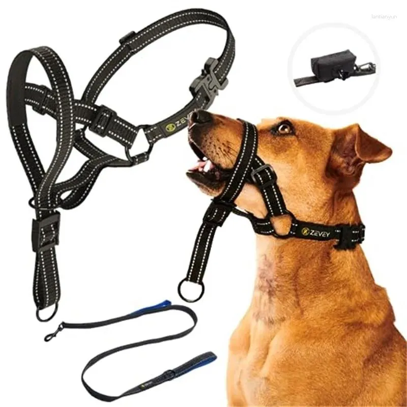 Muzzle leash online
