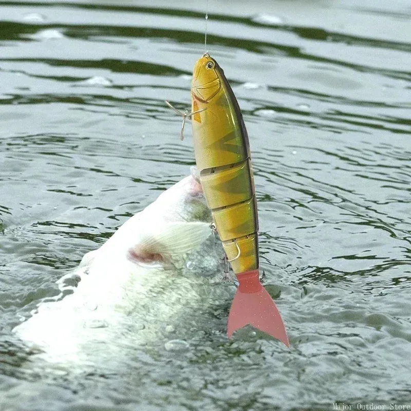 Leurre De Pêche Dynamique – Appât Nageur Pour Lac – Neuf (générique)