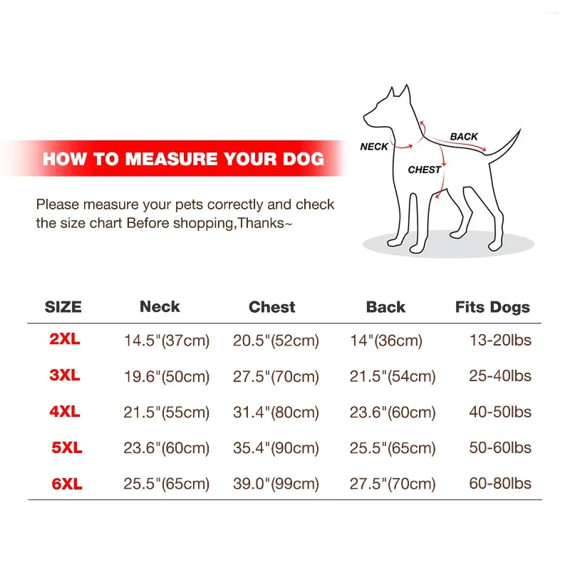 Pet sports apparel online