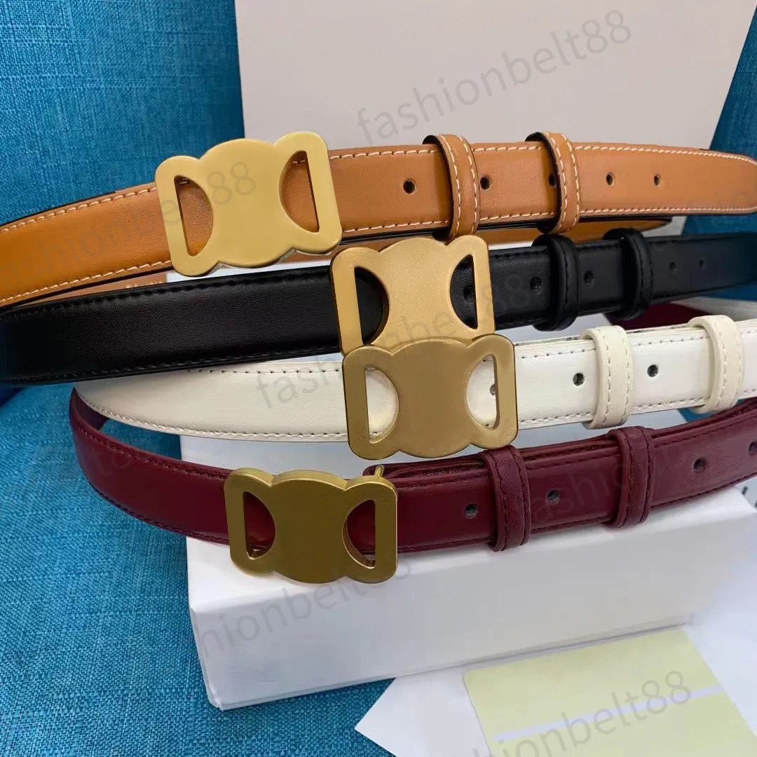 thumbnail image 2 of Faux Leather Waist Belt KASBAH Women's Skinny Belt - With Gold Buckle For Jeans & Dresses, Brown Faux Leather Belt 2 of 14