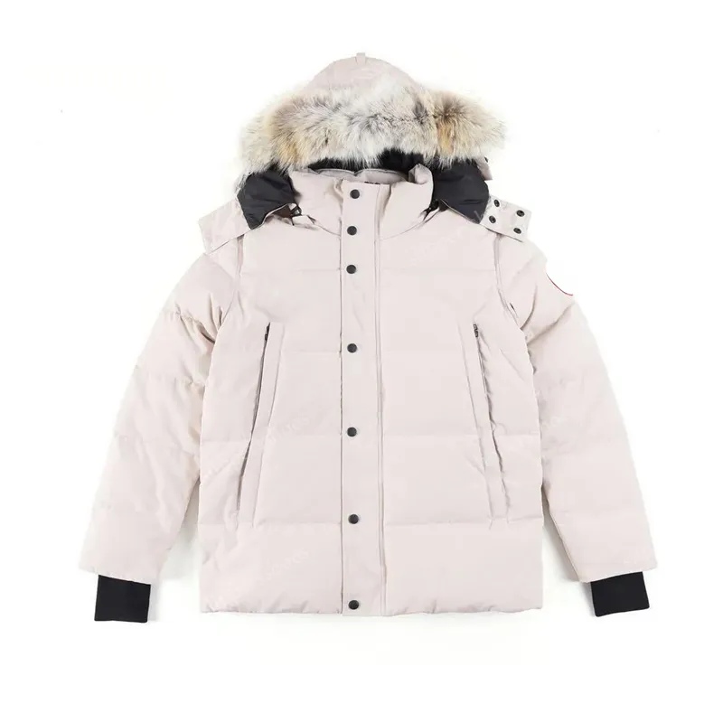 Herrenjacken Veste Homme Outdoor Winter Jassen Oberbekleidung Big Fur Hooded Fourrure Manteau Daunenjacke Mantel Hiver Parka Markenqualität, Produkteinführung_voghion.com