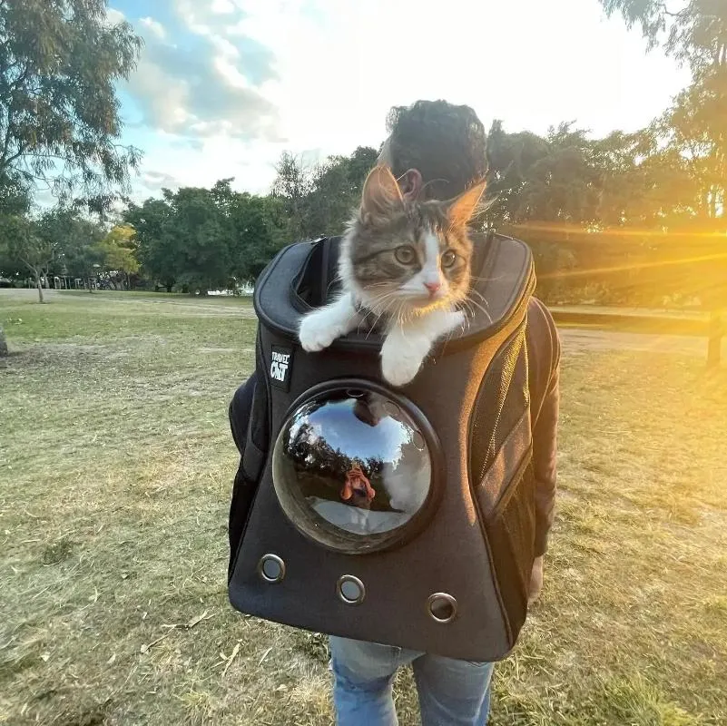 Astronaut bubble cat carrier outlet