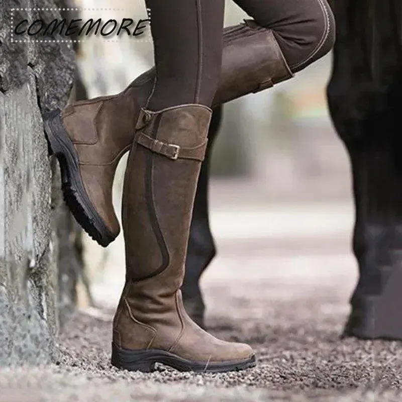 Mountain horse snowy river cloned high
