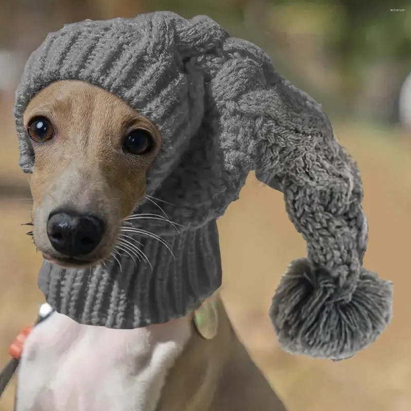 Greyhound beanie baby sale