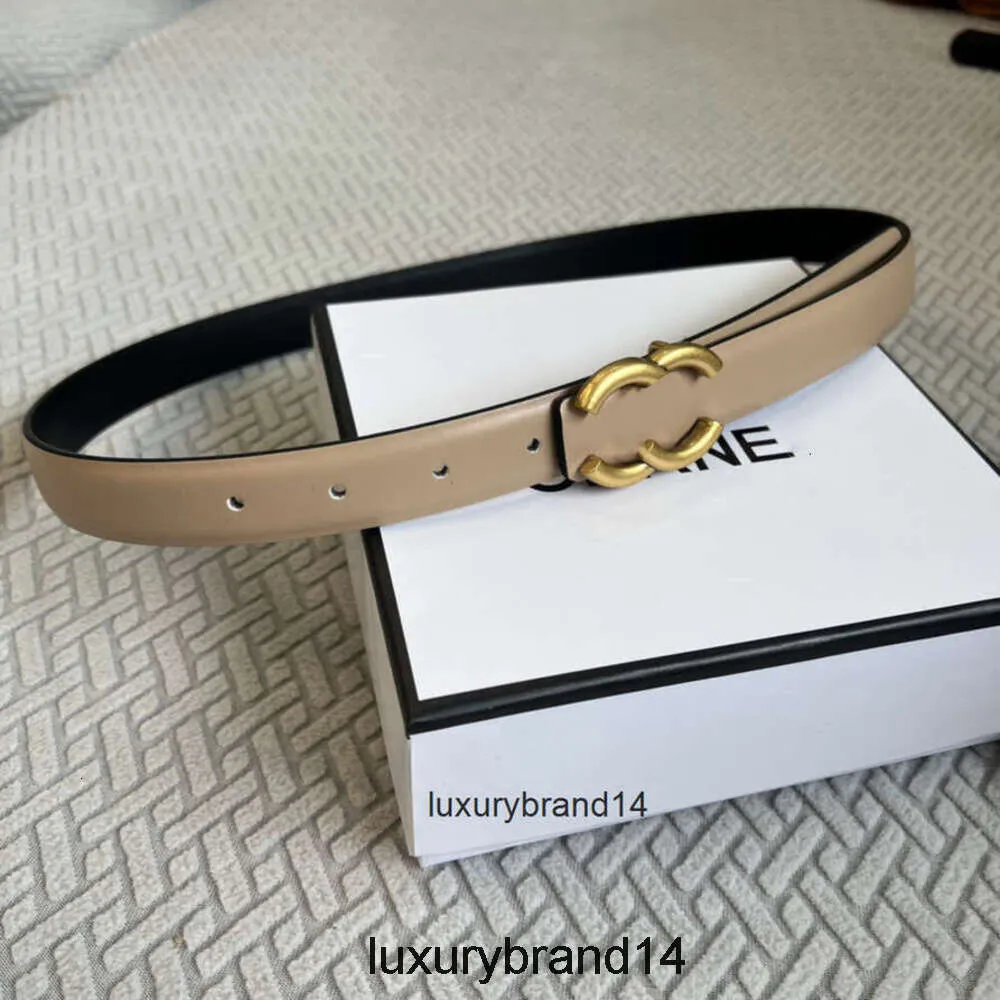 Designer belt women 25 cm width womens designer belts for  display picture 1