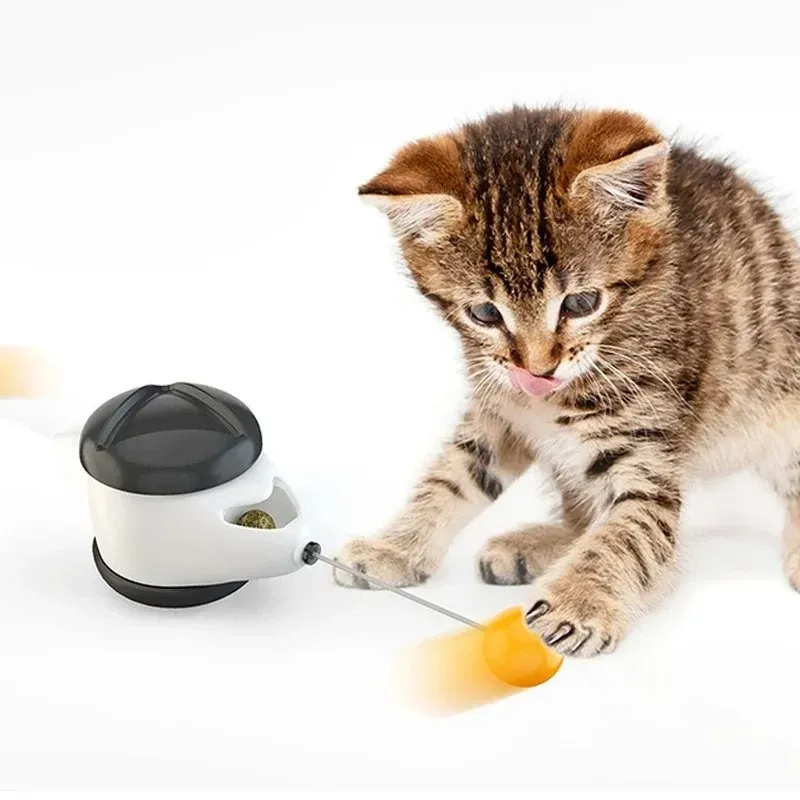 Cat toys for independent play hot sale