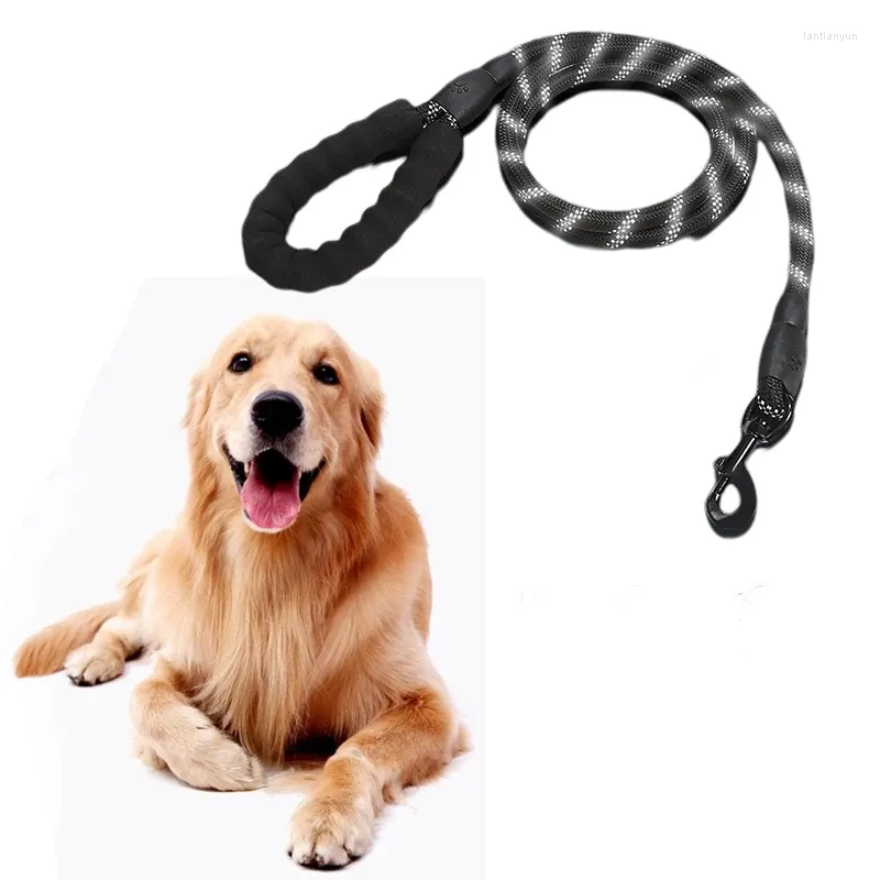 DHgate 20242M Reflective Dog Collar and Leash Set Soft Padded Handle Heavy Duty Nylon Rope for Medium to Large Dogs Perfect for Walking Training and Controlling Pet Supplies