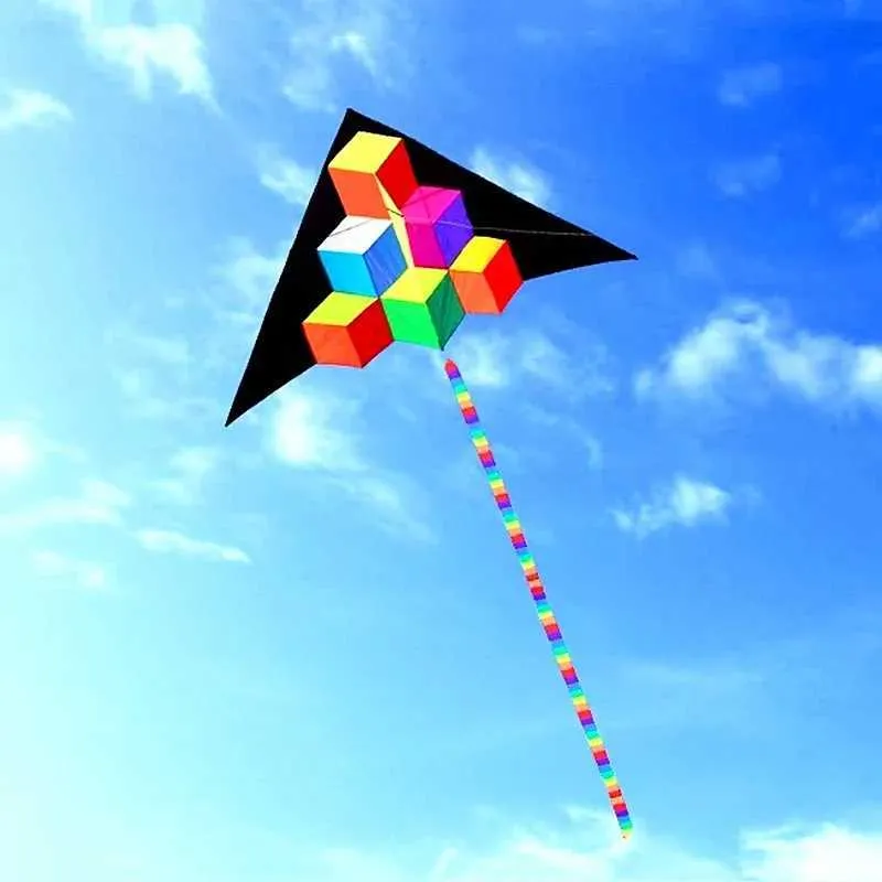 Step By Step Kite With Handle Line Fabric Ripstop For Kitesurf, Cerf