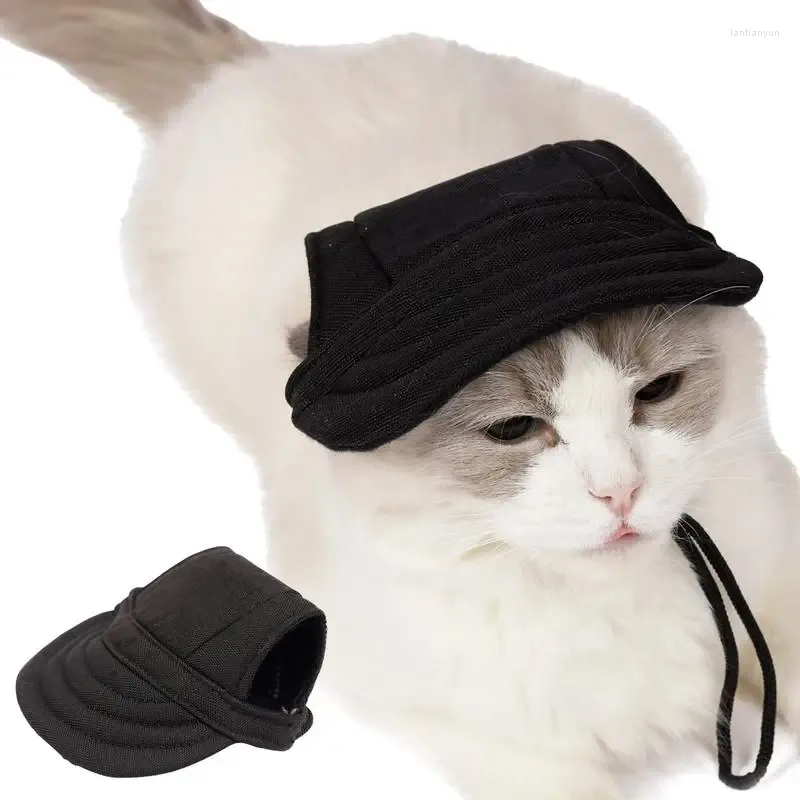 Baseball caps for cats 2025