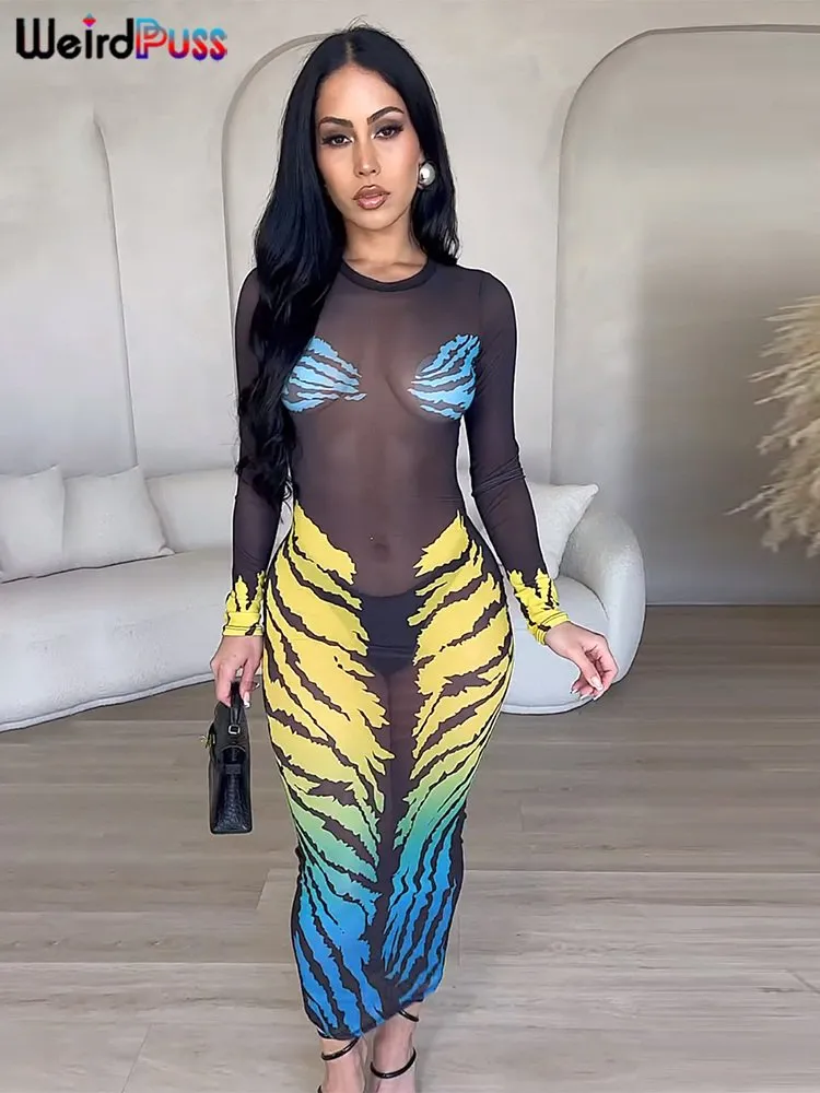 Mesh Maxi Dress See-Through Stretch Mesh Butterfly Print Long Sleeve  Bodycon for Women from Dhgate Basic & Casual Dresses - price 18.93