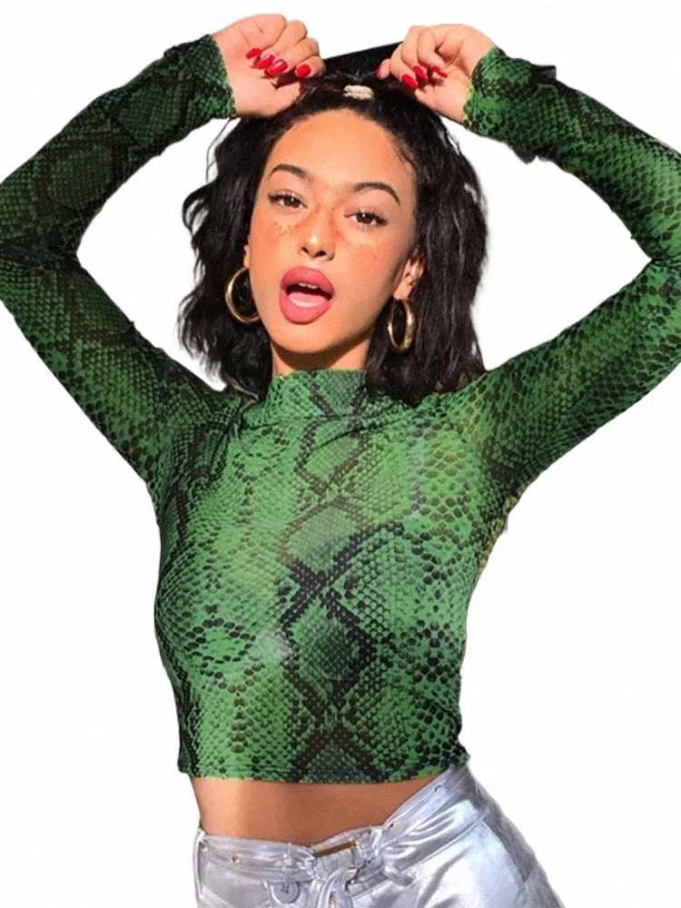 mesh top snake