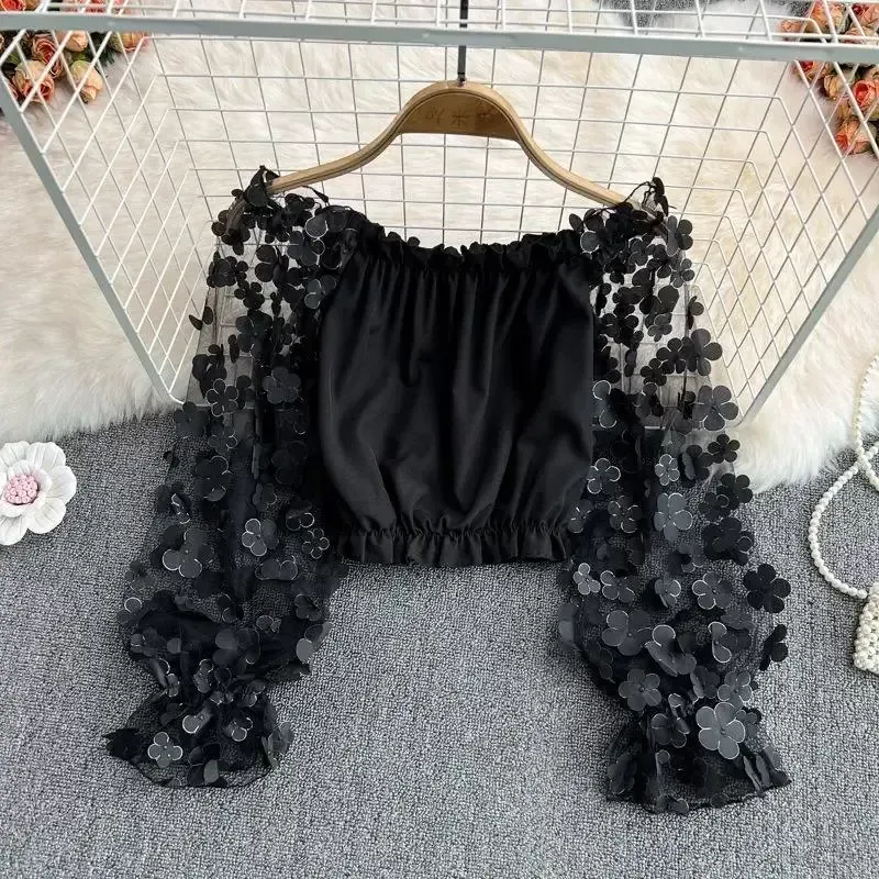 off the shoulder sheer chiffon blouse