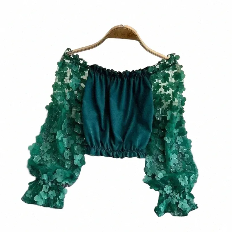 off the shoulder sheer chiffon blouse