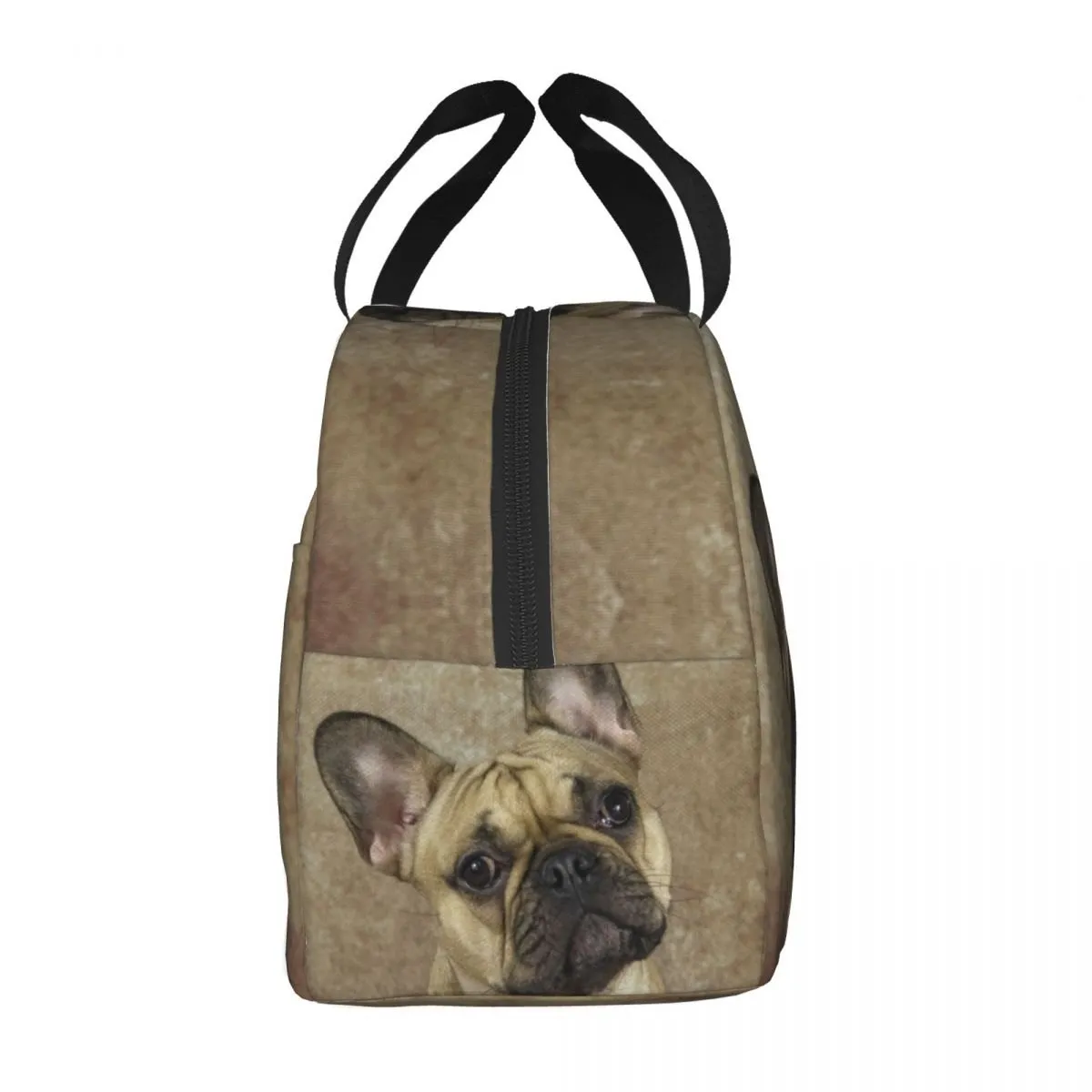 French bulldog lunch box sale