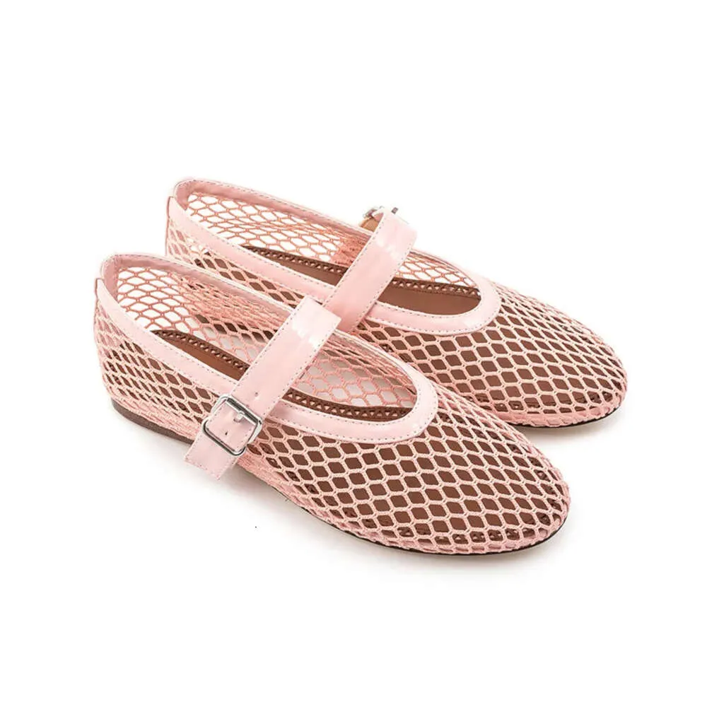 Terrier playnet shoes store