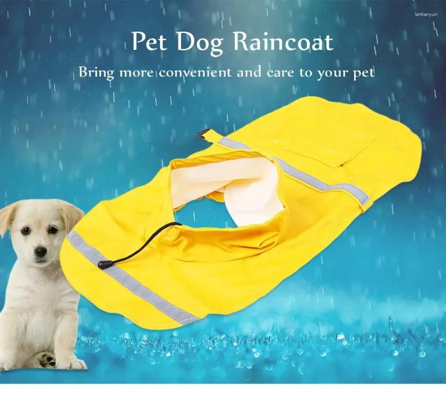 Waterproof Pet Dog Raincoat Kmart For Small Dogs Available Poncho And