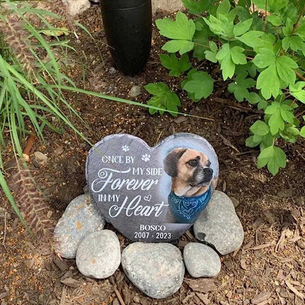 Dog ashes into online stone